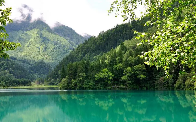高效高标准